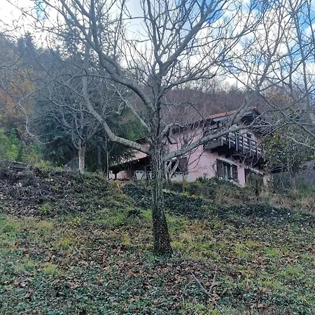 Alpesi faház Forest