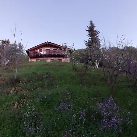 Forest Alpesi faház Ipáti