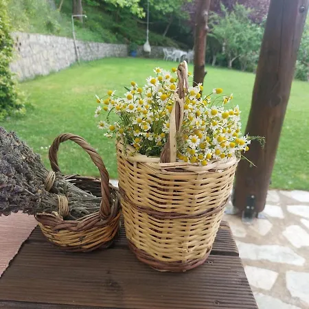 Chalet Forest *