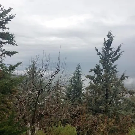 Forest Alpesi faház Ipáti