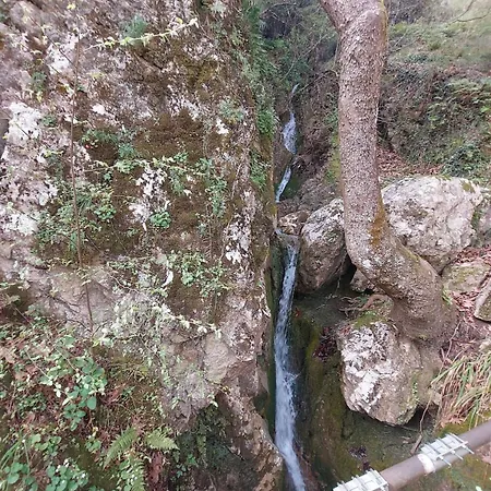 Forest Alpesi faház