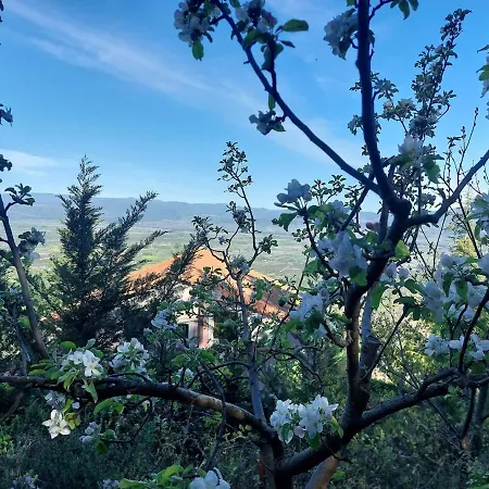 Alpesi faház Forest *