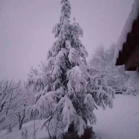 Alpesi faház Forest